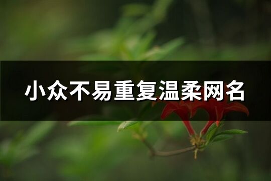 小眾不易重復(fù)溫柔網(wǎng)名(優(yōu)選183個)