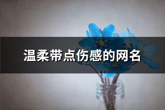溫柔帶點(diǎn)傷感的網(wǎng)名(優(yōu)選163個(gè))
