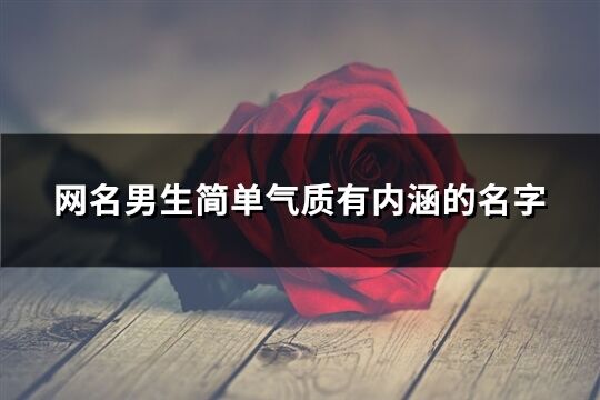 網名男生簡單氣質有內涵的名字(共506個)