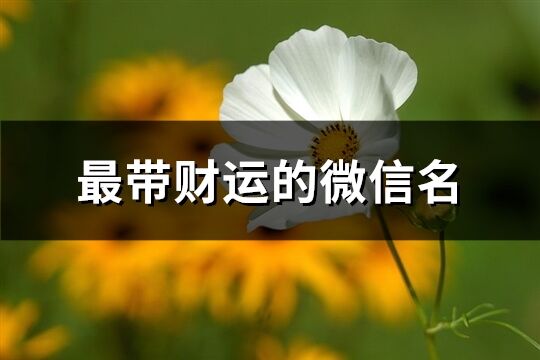 最帶財(cái)運(yùn)的微信名(共791個(gè))
