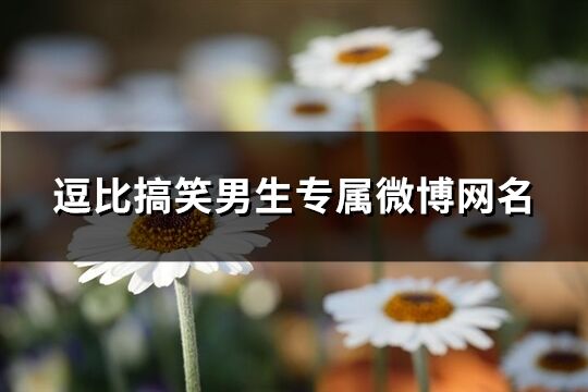 逗比搞笑男生專屬微博網(wǎng)名(249個)