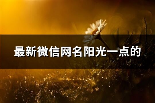 最新微信網名陽光一點的(共1328個)