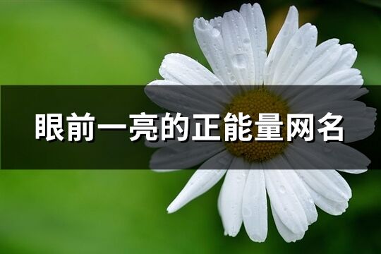眼前一亮的正能量網(wǎng)名(226個)