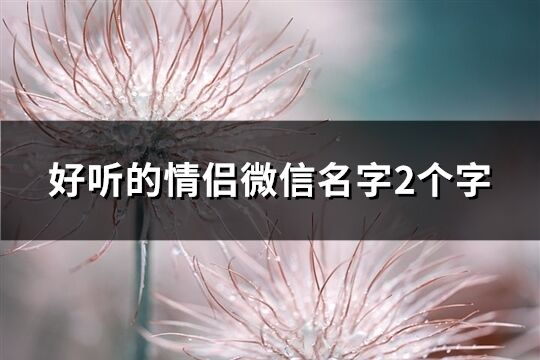 好聽的情侶微信名字2個字(精選140個)