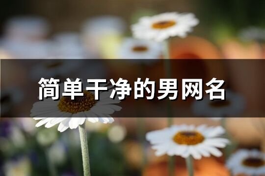 簡(jiǎn)單干凈的男網(wǎng)名(1125個(gè))