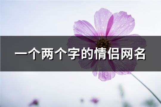 一個兩個字的情侶網名(726個)