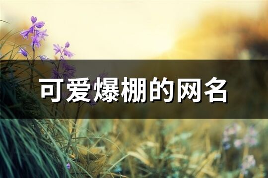可愛爆棚的網名(394個)
