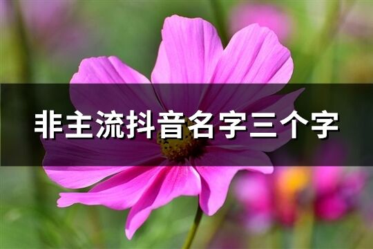 非主流抖音名字三個字(782個)
