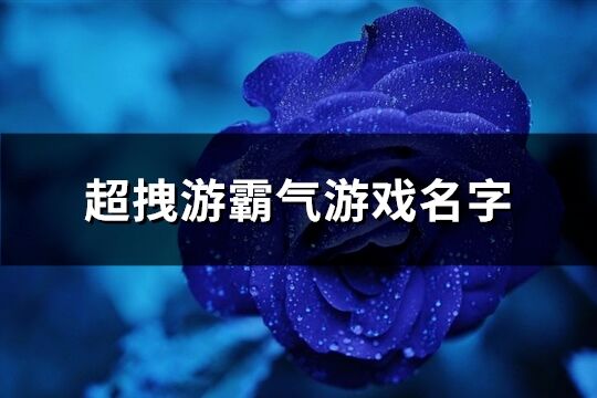 超拽游霸氣游戲名字(共1153個)