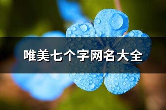 唯美七個字網(wǎng)名大全(優(yōu)選353個)