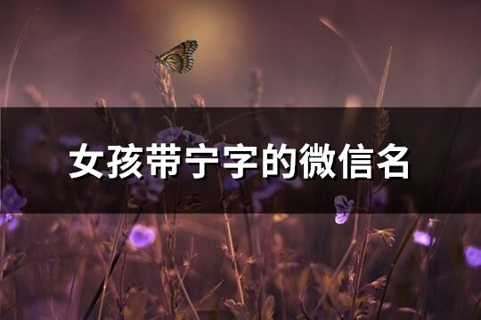 女孩帶寧字的微信名(60個(gè))