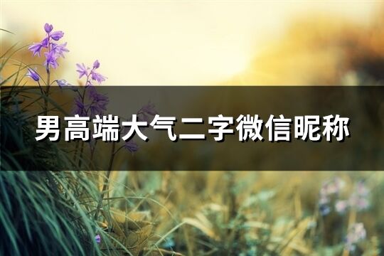 男高端大氣二字微信昵稱(共354個(gè))