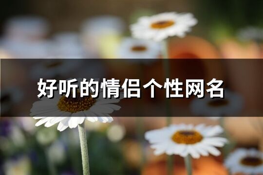 好聽(tīng)的情侶個(gè)性網(wǎng)名(精選216個(gè))
