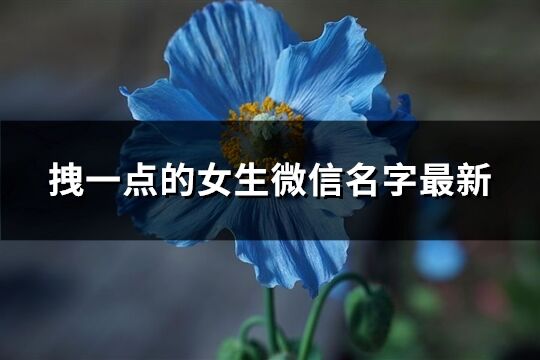 拽一點的女生微信名字最新(優選598個)