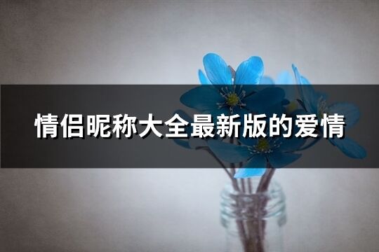 情侶昵稱大全最新版的愛情(615個)