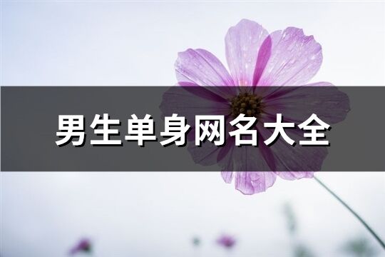男生單身網名大全(255個)