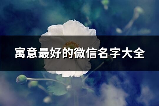 寓意最好的微信名字大全(共289個)
