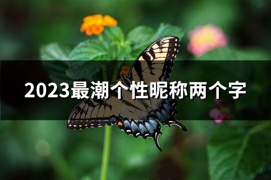 2023最潮個性昵稱兩個字(優選2110個)