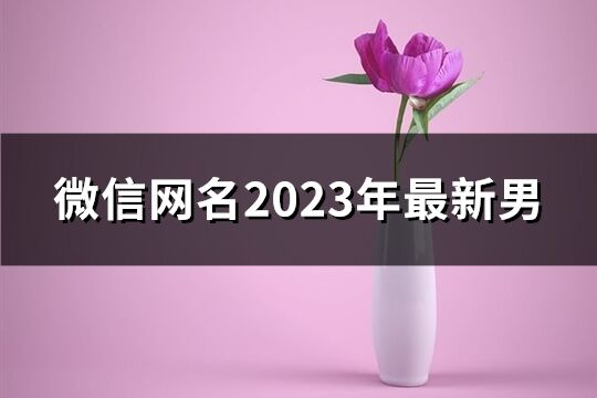 微信網名2023年最新男(共742個)