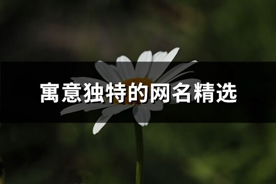 寓意獨特的網名精選(共289個)