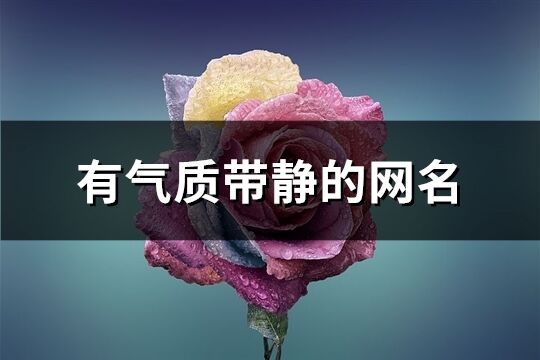 有氣質帶靜的網名(精選111個)