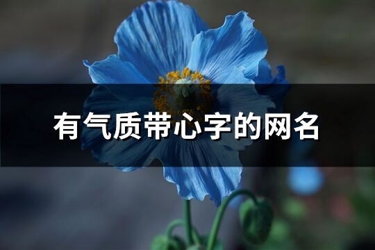 有氣質(zhì)帶心字的網(wǎng)名(158個(gè))