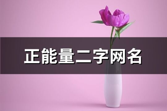 正能量二字網名(共543個)