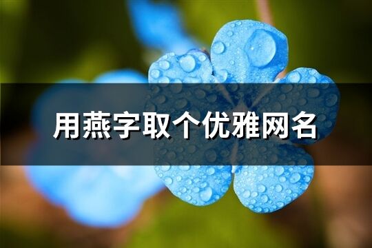 用燕字取個優(yōu)雅網(wǎng)名(優(yōu)選115個)