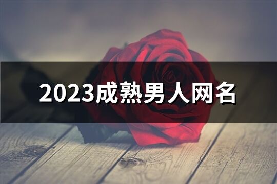 2023成熟男人網(wǎng)名(優(yōu)選632個(gè))
