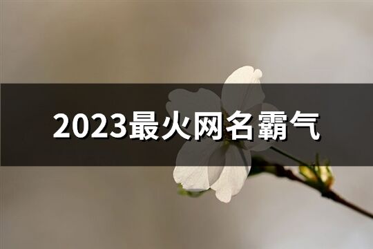 2023最火網名霸氣(優選689個)