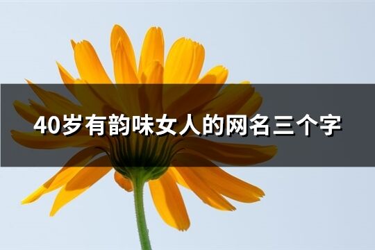 40歲有韻味女人的網名三個字(共254個)