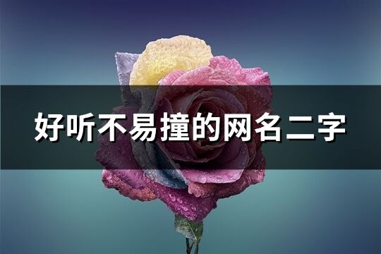 好聽不易撞的網(wǎng)名二字(共959個)