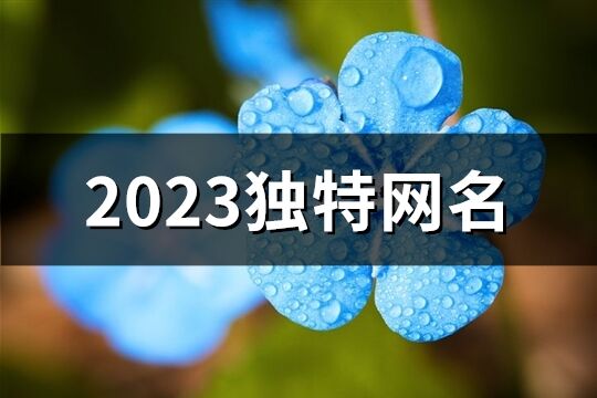 2023獨(dú)特網(wǎng)名(優(yōu)選940個(gè))