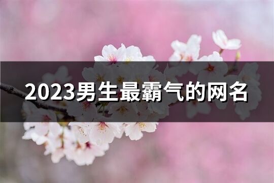 2023男生最霸氣的網(wǎng)名(929個)