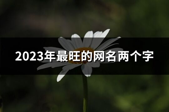 2023年最旺的網名兩個字(674個)