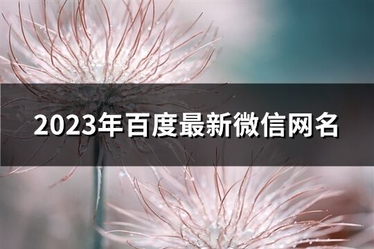 2023年百度最新微信網名(優選1255個)