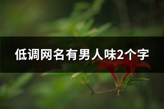 低調網名有男人味2個字(共285個)
