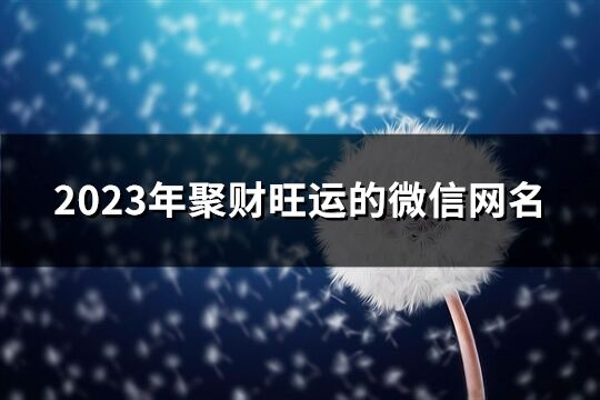 2023年聚財(cái)旺運(yùn)的微信網(wǎng)名(精選538個(gè))