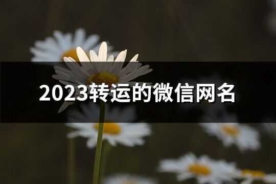 2023轉(zhuǎn)運(yùn)的微信網(wǎng)名(優(yōu)選623個(gè))