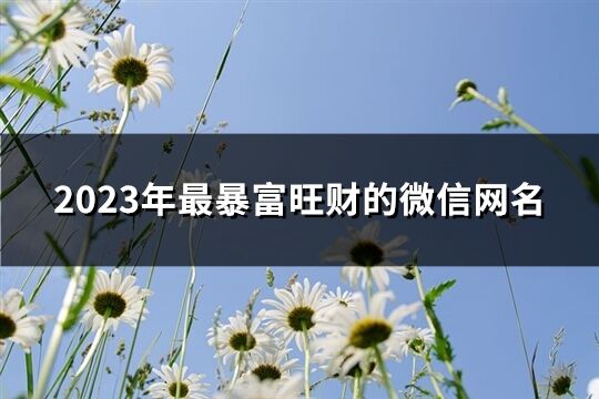 2023年最暴富旺財的微信網名(750個)