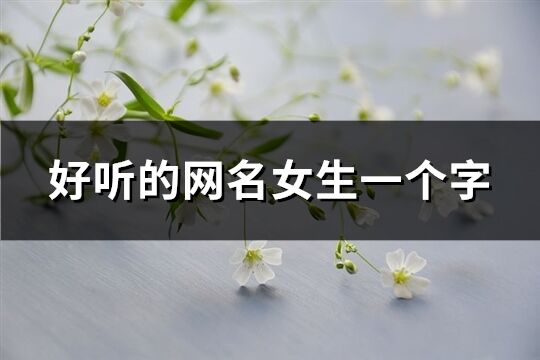 好聽的網(wǎng)名女生一個字(共149個)