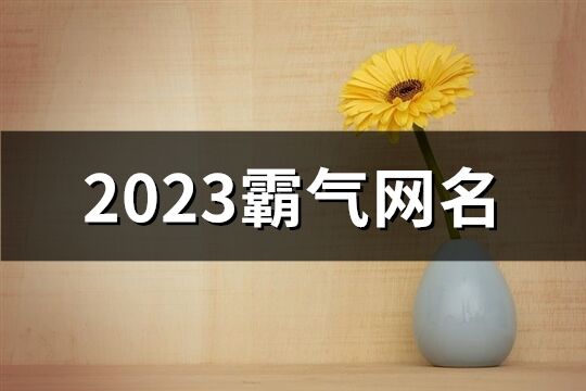2023霸氣網名(優選601個)