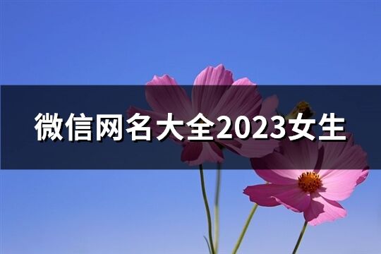 微信網(wǎng)名大全2023女生(精選1048個(gè))