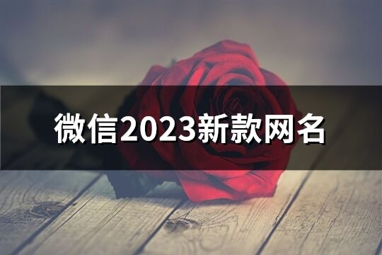 微信2023新款網名(642個)