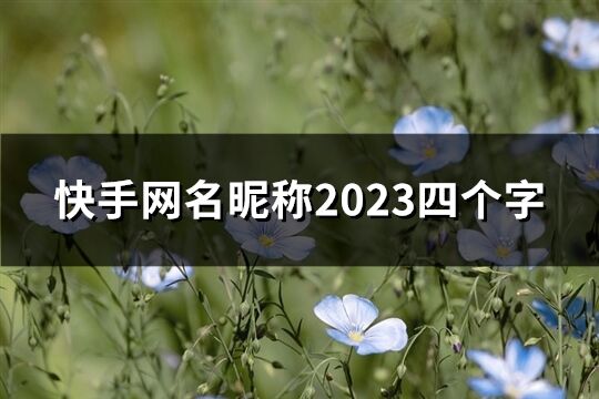 快手網名昵稱2023四個字(713個)