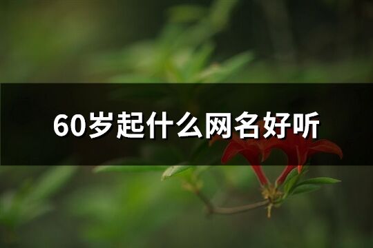 60歲起什么網名好聽(489個)