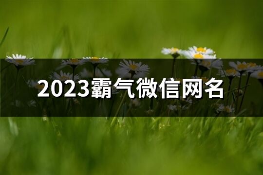 2023霸氣微信網(wǎng)名(612個)
