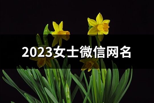 2023女士微信網名(精選1002個)