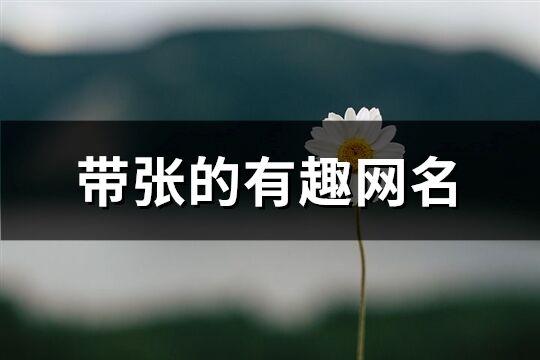 帶張的有趣網(wǎng)名(優(yōu)選75個(gè))