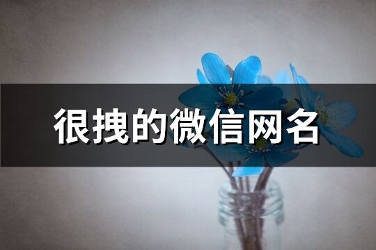很拽的微信網名(優選212個)